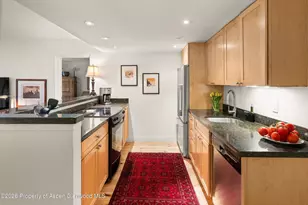 412 Vine St, Aspen, CO 81611 - Photo 8