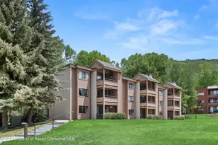 412 Vine St, Aspen, CO 81611 - Photo 24