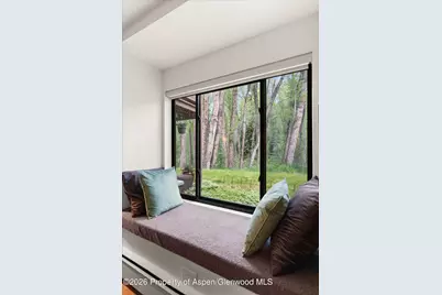 412 Vine Street, Aspen, CO 81611 - Photo 12
