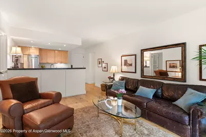 412 Vine Street, Aspen, CO 81611 - Photo 6