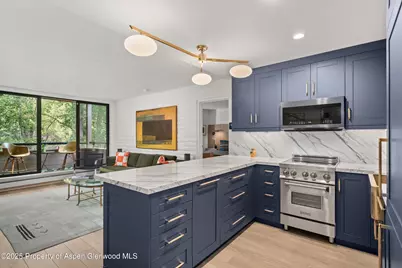 332 Vine Street, Aspen, CO 81611 - Photo 4