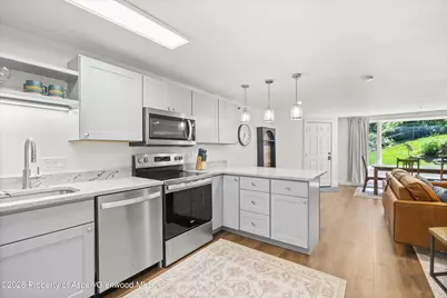 65 Campground Lane #90, Snowmass Village, CO 81615 - Photo 2
