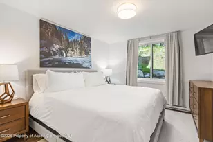 65 Campground Ln, Snowmass Village, CO 81615 - Photo 8