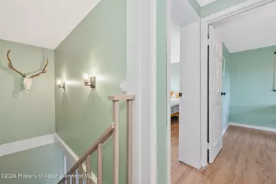 250 S Harvest Drive, Hayden, CO 81639 - Photo 12