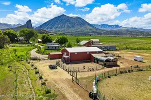 41990 Cottonwood Creek Rd, Crawford, CO 81415 - Photo 58
