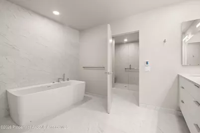 101 Willow Road #206, Basalt, CO 81621 - Photo 10