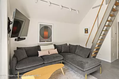 211 W Main Street, Aspen, CO 81611 - Photo 26
