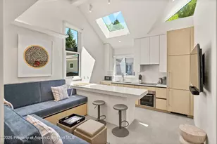 211 W Main St, Aspen, CO 81611 - Photo 40