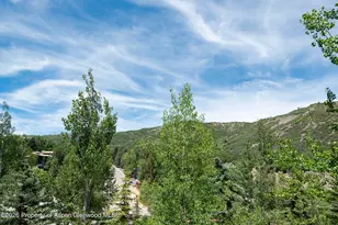 90 Carriage Way, Snowmass Village, CO 81615 - Photo 12