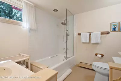 715 W Smuggler Street, Aspen, CO 81611 - Photo 32