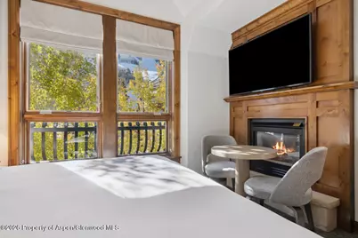 415 E Dean St. #32, Wk 9, Aspen, CO 81611 - Photo 16