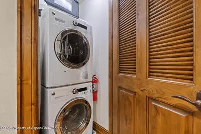 415 E Dean St. #32, Wk 9, Aspen, CO 81611 - Photo 10
