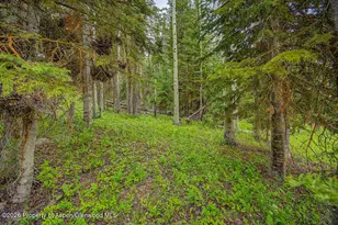 972 Timberlane Dr, Craig, CO 81625 - Photo 34