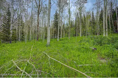 972 Timberlane Drive Lot#115, Craig, CO 81625 - Photo 36