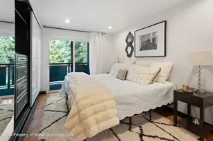 100 E Dean St, Aspen, CO 81611 - Photo 8