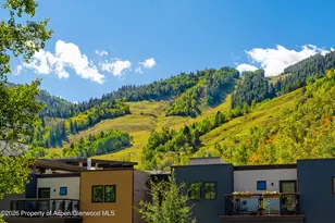 100 E Dean St, Aspen, CO 81611 - Photo 14