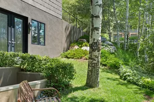 257 Mountain Laurel Dr, Aspen, CO 81611 - Photo 48
