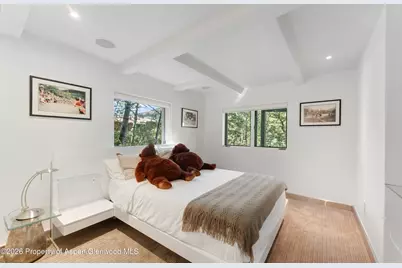 257 Mountain Laurel Drive, Aspen, CO 81611 - Photo 38
