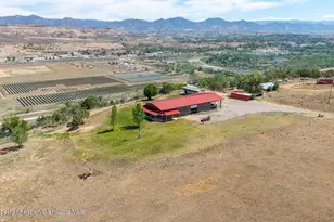 1205 Co Rd 321, Rifle, CO 81650 - Photo 6