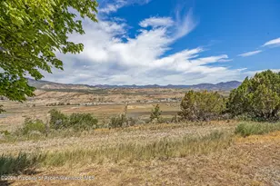 1205 Co Rd 321, Rifle, CO 81650 - Photo 32