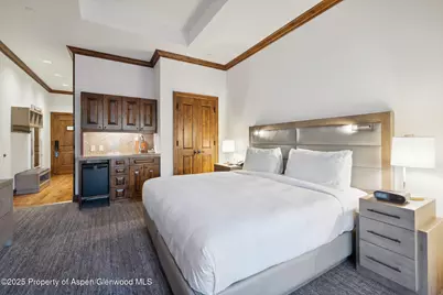 415 E Dean St, Unit 2, Week 31, Aspen, CO 81611 - Photo 16