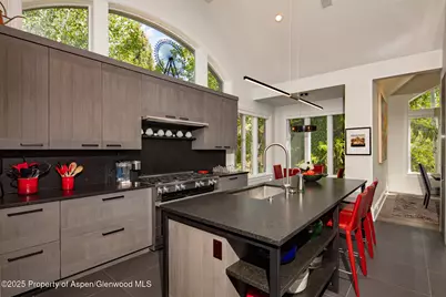 205 N 6th Street, Aspen, CO 81611 - Photo 8
