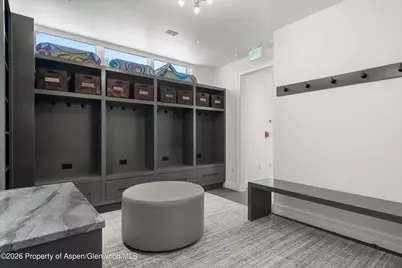 627 E Hopkins Avenue #201, Aspen, CO 81611 - Photo 34