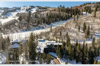386 Pfister Drive, Aspen, CO 81611 - Photo 46