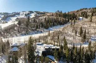 386 Pfister Dr, Aspen, CO 81611 - Photo 46