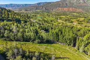 386 Pfister Dr, Aspen, CO 81611 - Photo 34