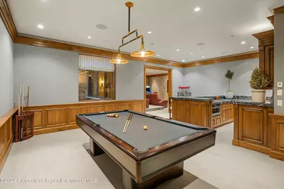 386 Pfister Drive, Aspen, CO 81611 - Photo 18