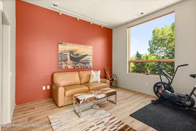 103 Willits Way #201, Basalt, CO 81621 - Photo 16