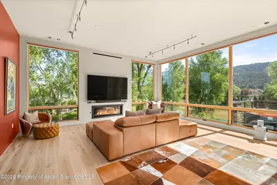 103 Willits Way #201, Basalt, CO 81621 - Photo 4