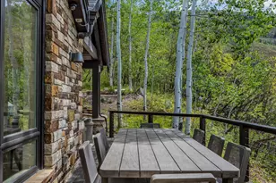222 Roaring Fork Dr, Aspen, CO 81611 - Photo 64