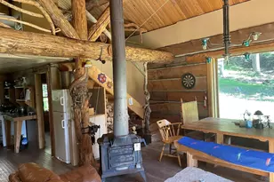 1760 Forest Service Rd 315, Marble, CO 81623 - Photo 4
