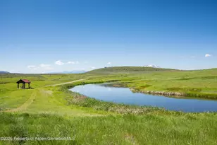 176 Fisher Creek Ln, Carbondale, CO 81623 - Photo 64