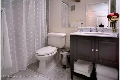 1024 E Cooper Avenue #8, Aspen, CO 81611 - Photo 12