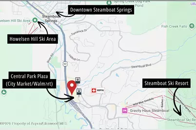 435 Ore House Plaza #101, Steamboat, CO 80487 - Photo 28