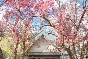 1006 E Cooper Ave, Aspen, CO 81611 - Photo 2