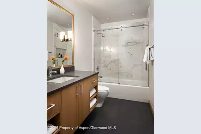 1006 E Cooper Avenue, Aspen, CO 81611 - Photo 22