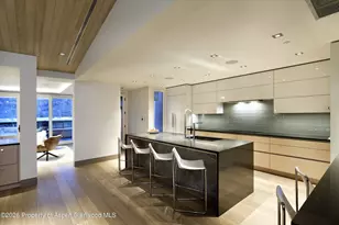 126 Juan St, Aspen, CO 81611 - Photo 12