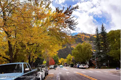 800 E Hopkins Avenue #A-1, Aspen, CO 81611 - Photo 14