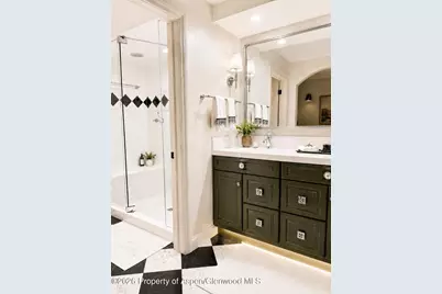 800 E Hopkins Avenue #A-1, Aspen, CO 81611 - Photo 8