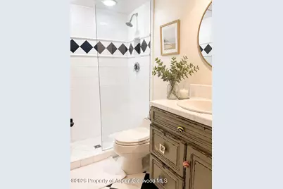 800 E Hopkins Avenue #A-1, Aspen, CO 81611 - Photo 10