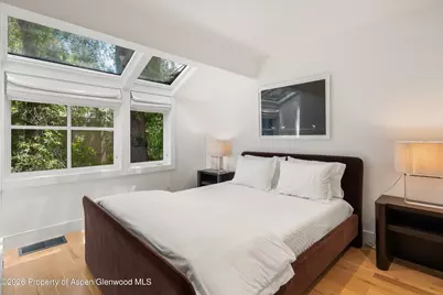 100 N Eighth Street #3, Aspen, CO 81611 - Photo 44