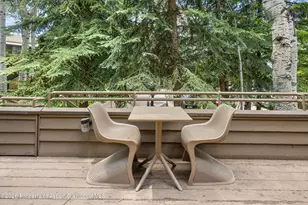 100 N 8th St, Aspen, CO 81611 - Photo 10