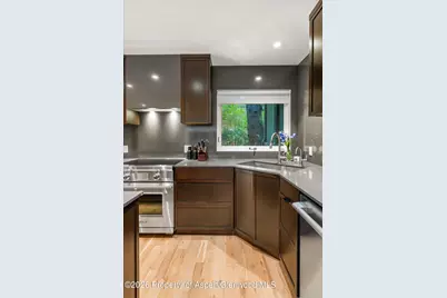 100 N Eighth Street #3, Aspen, CO 81611 - Photo 28