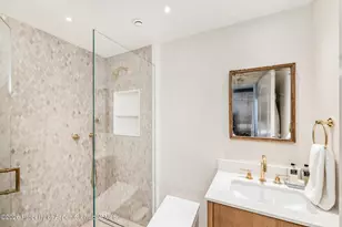 153 W Lupine Dr, Aspen, CO 81611 - Photo 40