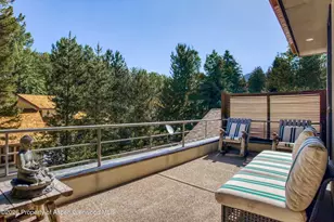 736 W Smuggler St, Aspen, CO 81611 - Photo 14