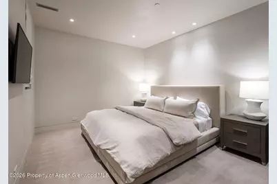 1154 E Cooper Avenue #Unit B, Aspen, CO 81611 - Photo 28